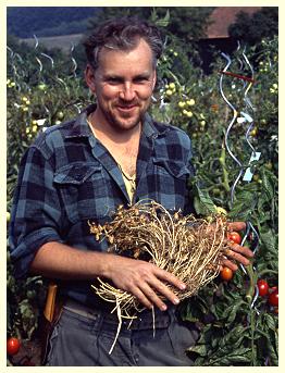 Bernd Horneburg