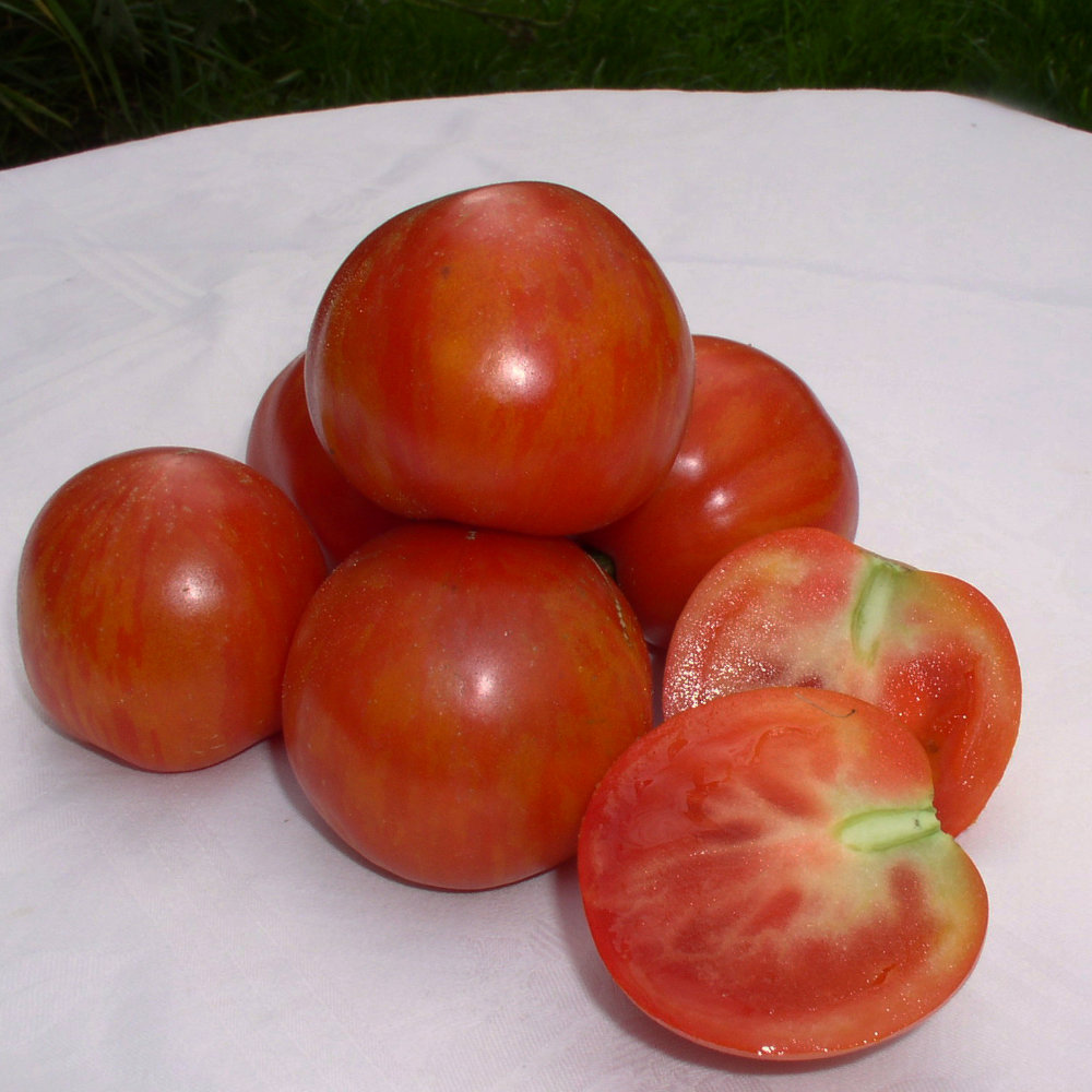 Salattomate Tigerella