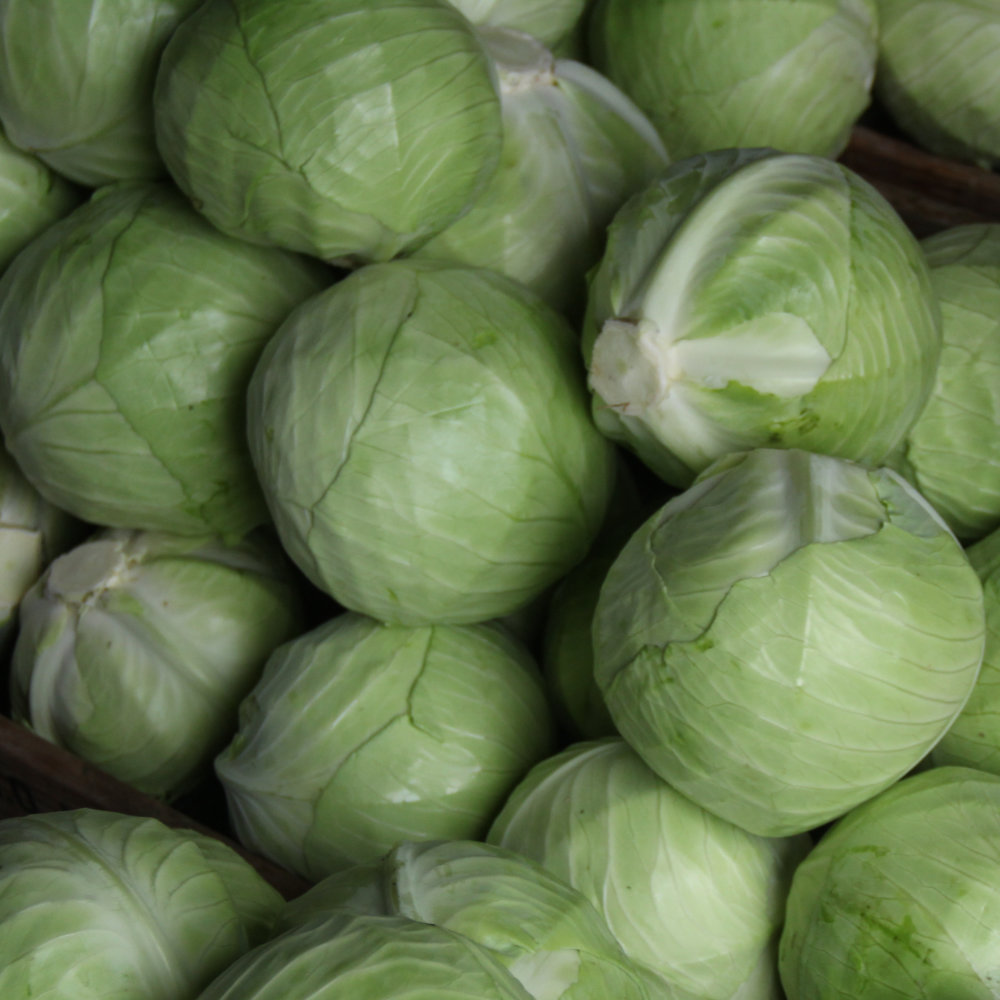 Weißkohl Marner Lagerweiß (Marwei)