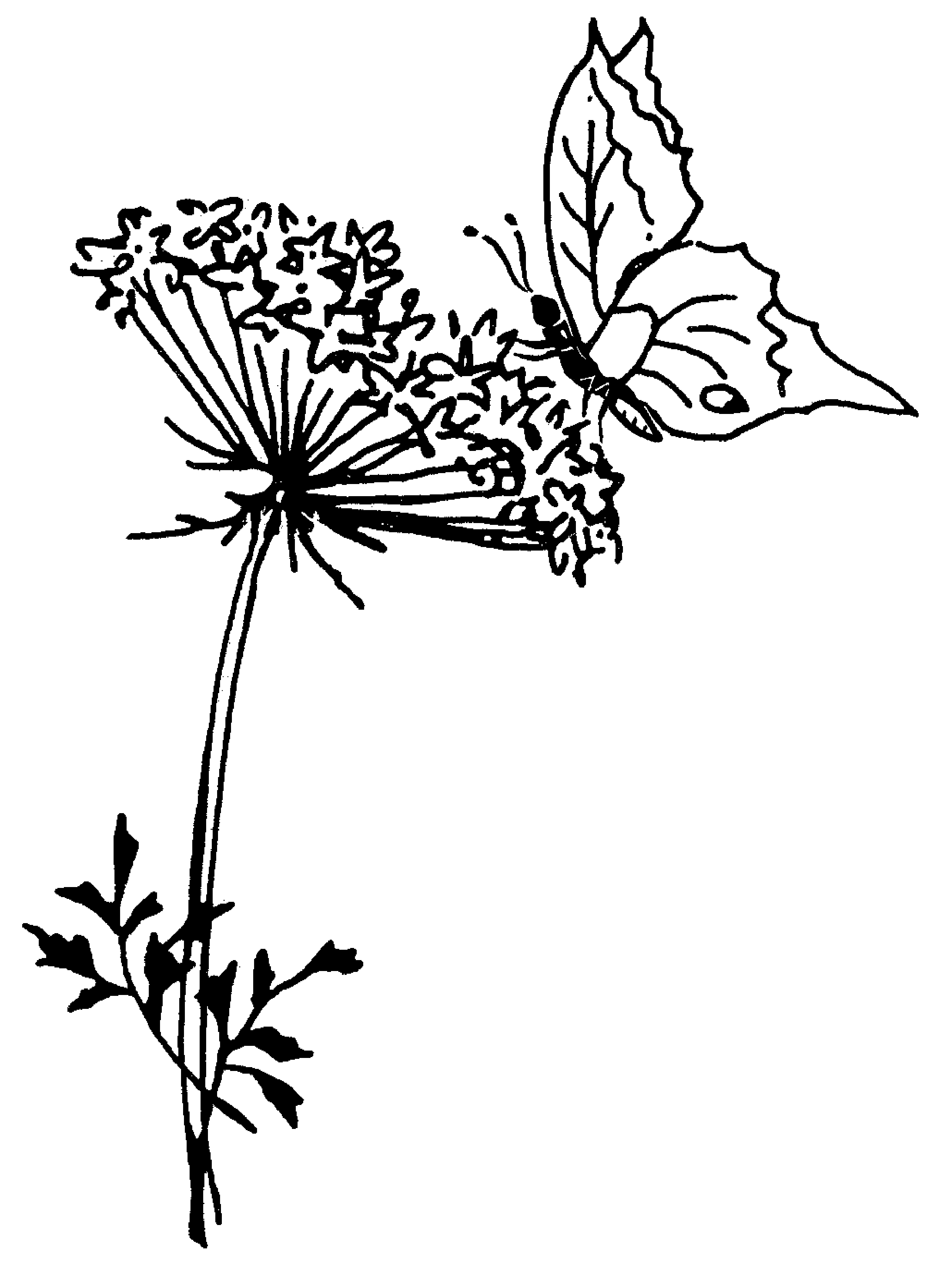 Zur Startseite gehen