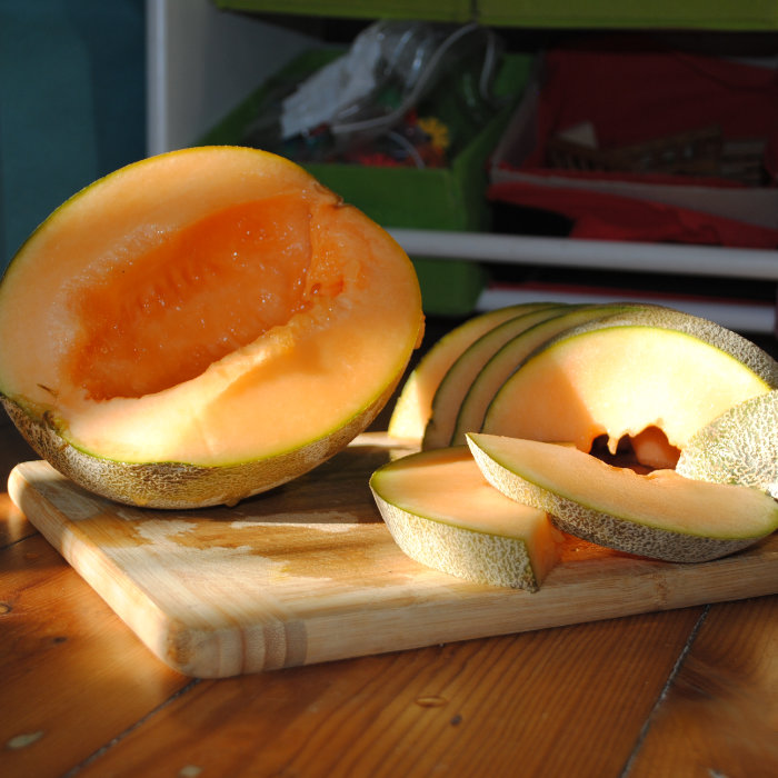 Honigmelone Berliner Netz