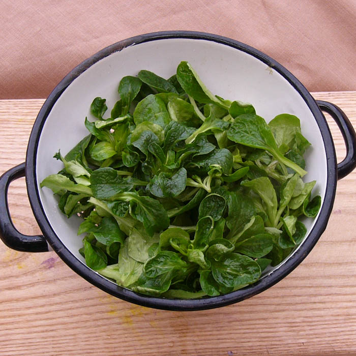 GROSSPACKUNG Feldsalat Dunkelgrüner Vollherziger (Verte à cœur plein 2)