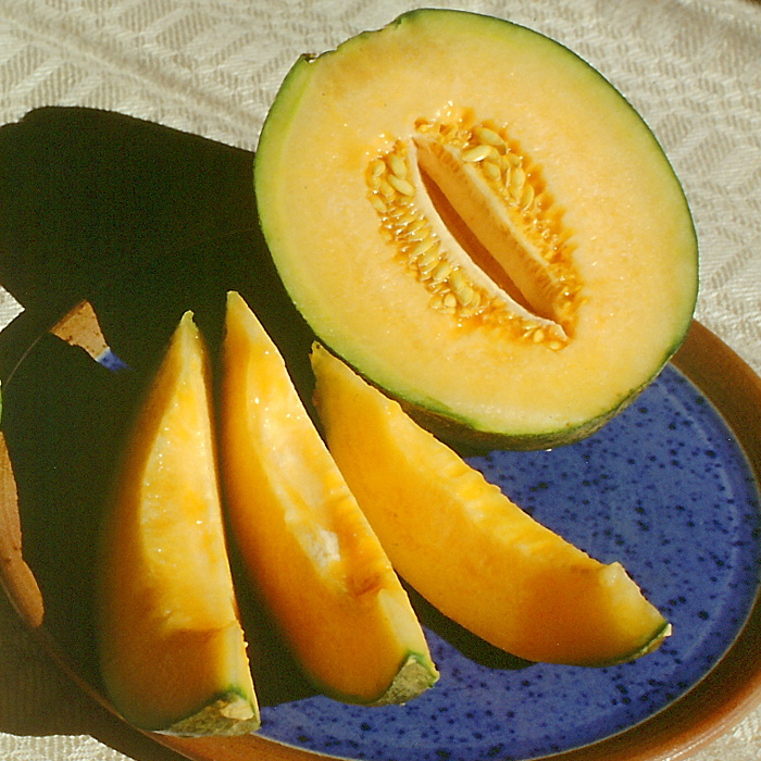 Honigmelone Ananas d'Amérique à chair rouge