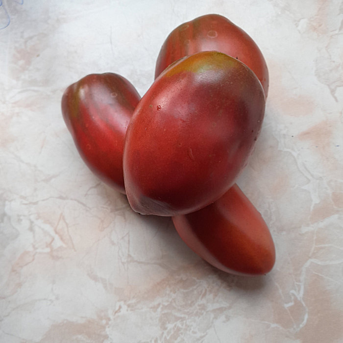 Salattomate Purple Russian