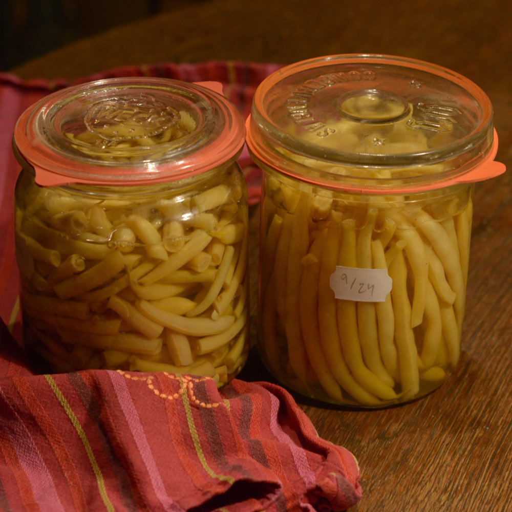Buschbohne Wachs Beste von Allen (Brittle Wax)