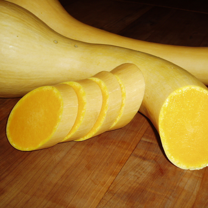 Keulenzucchini Trombetta di Albenga