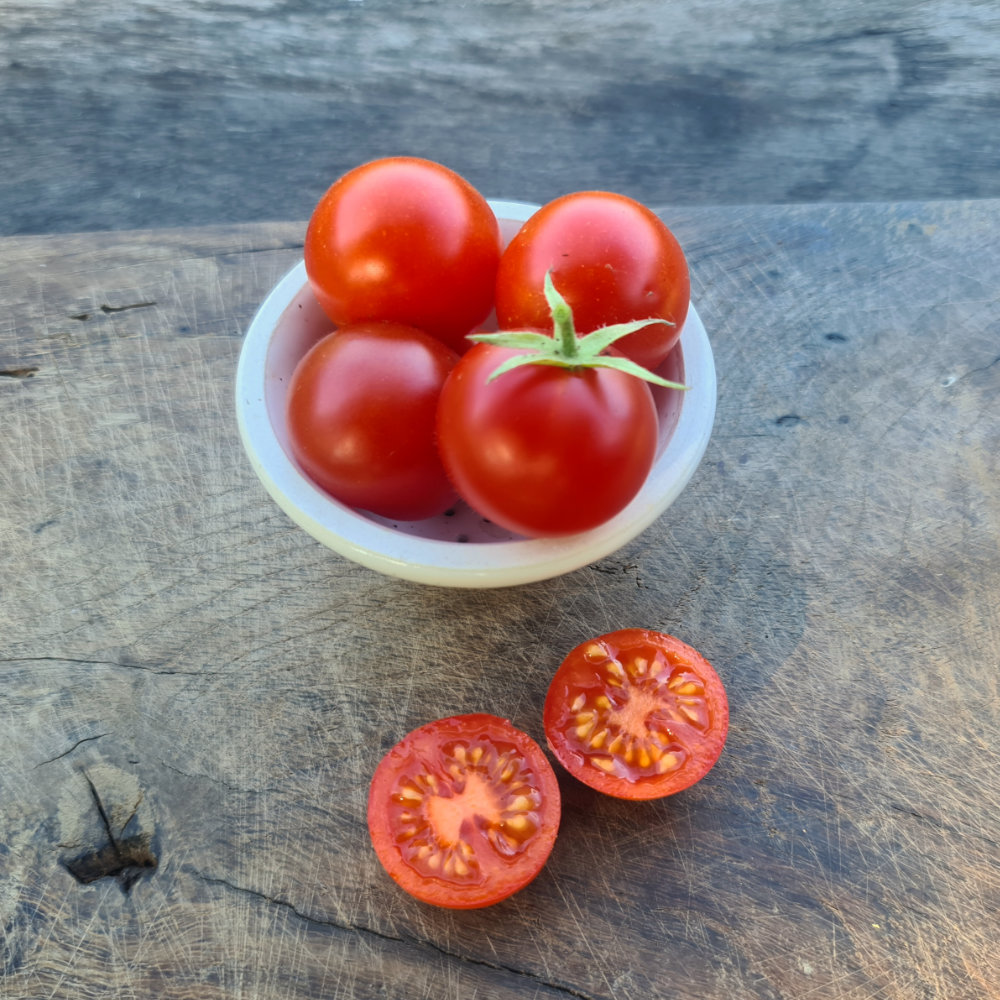 Salattomate Friesje