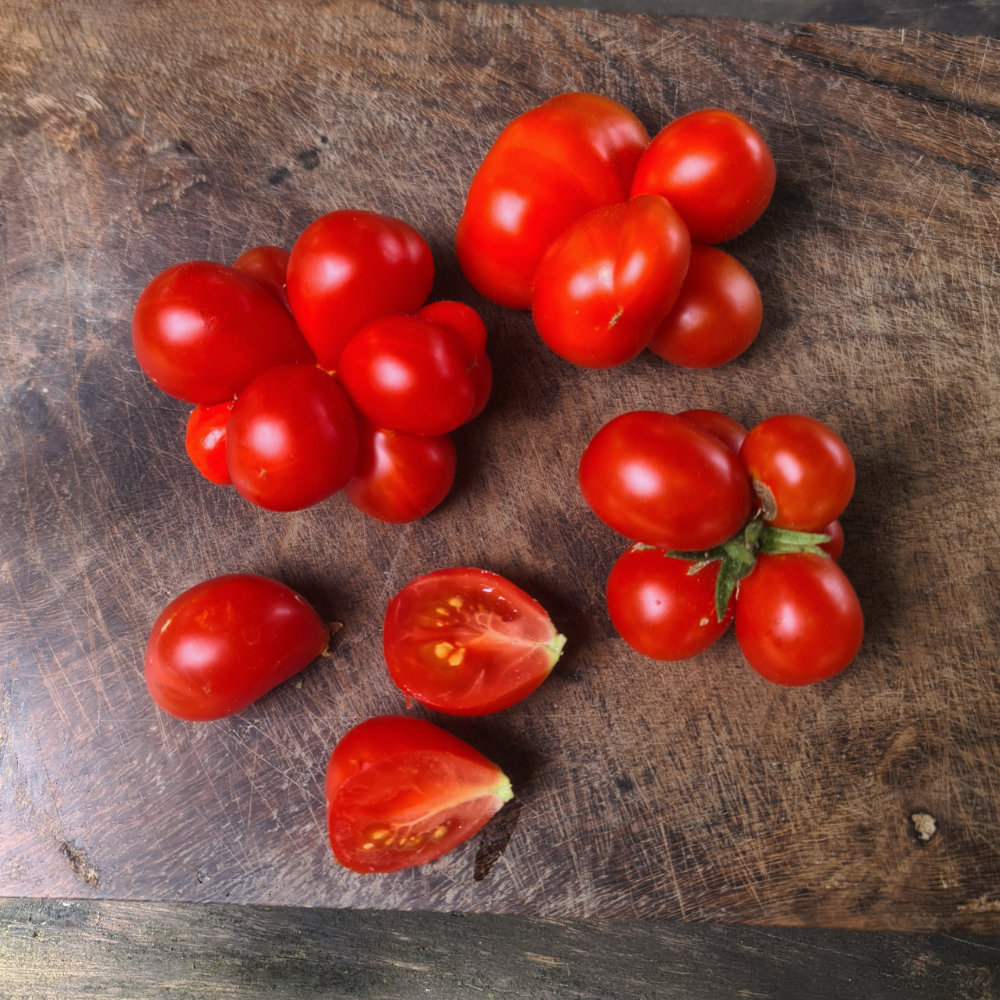 Salattomate Reisetomate