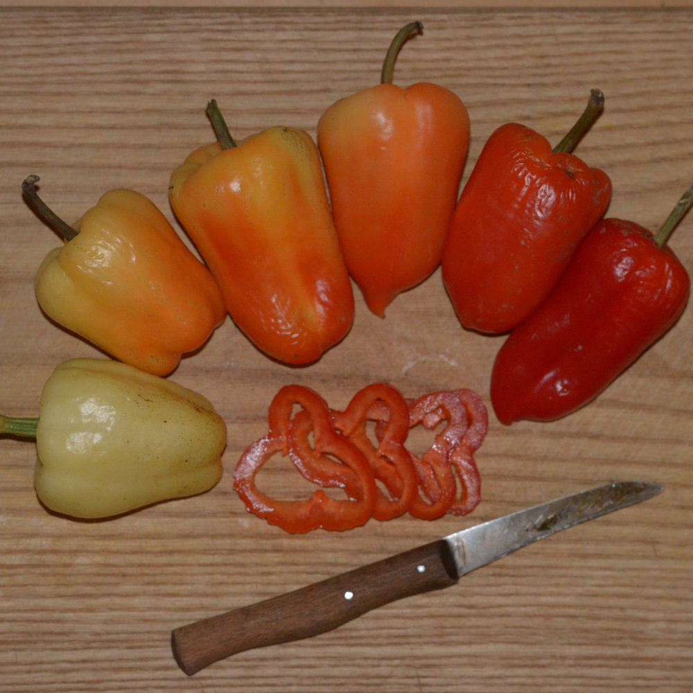 Paprika Pusztagold