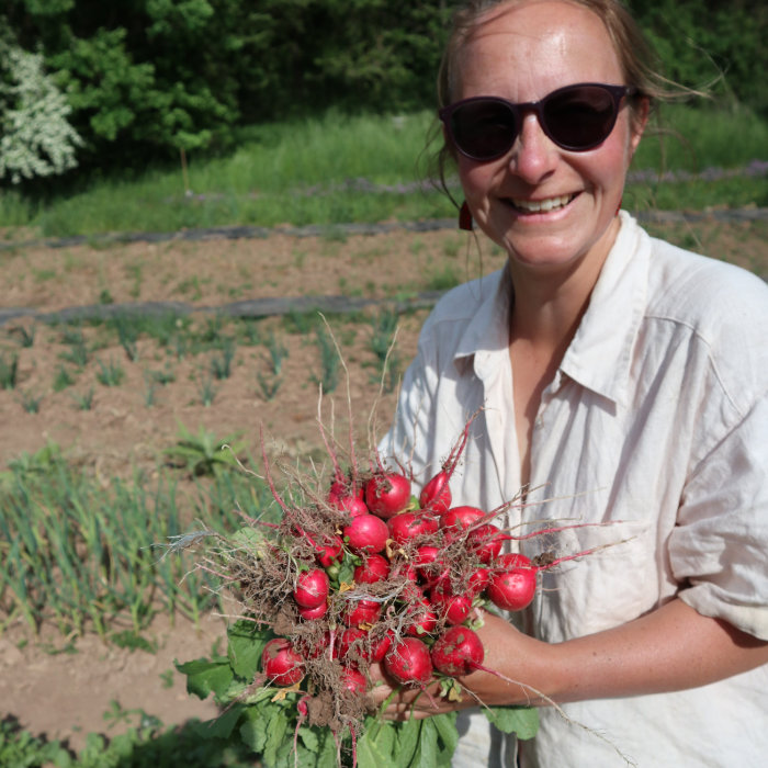 Radieschen Saxa Treib 3