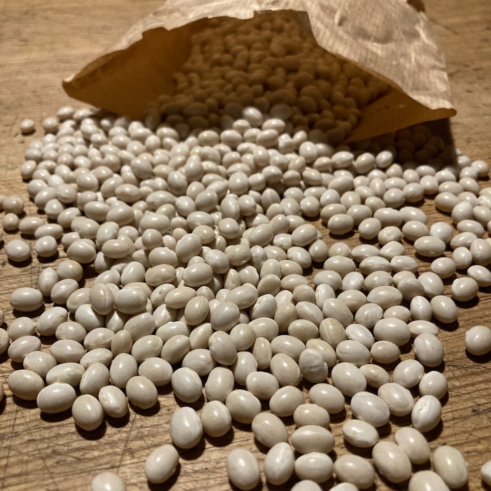 KLEINPACKUNG Buschbohne Zucker Perl Perfektion