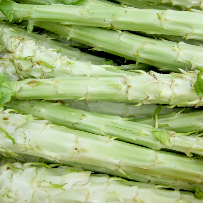 Spargelsalat Grüner Stern