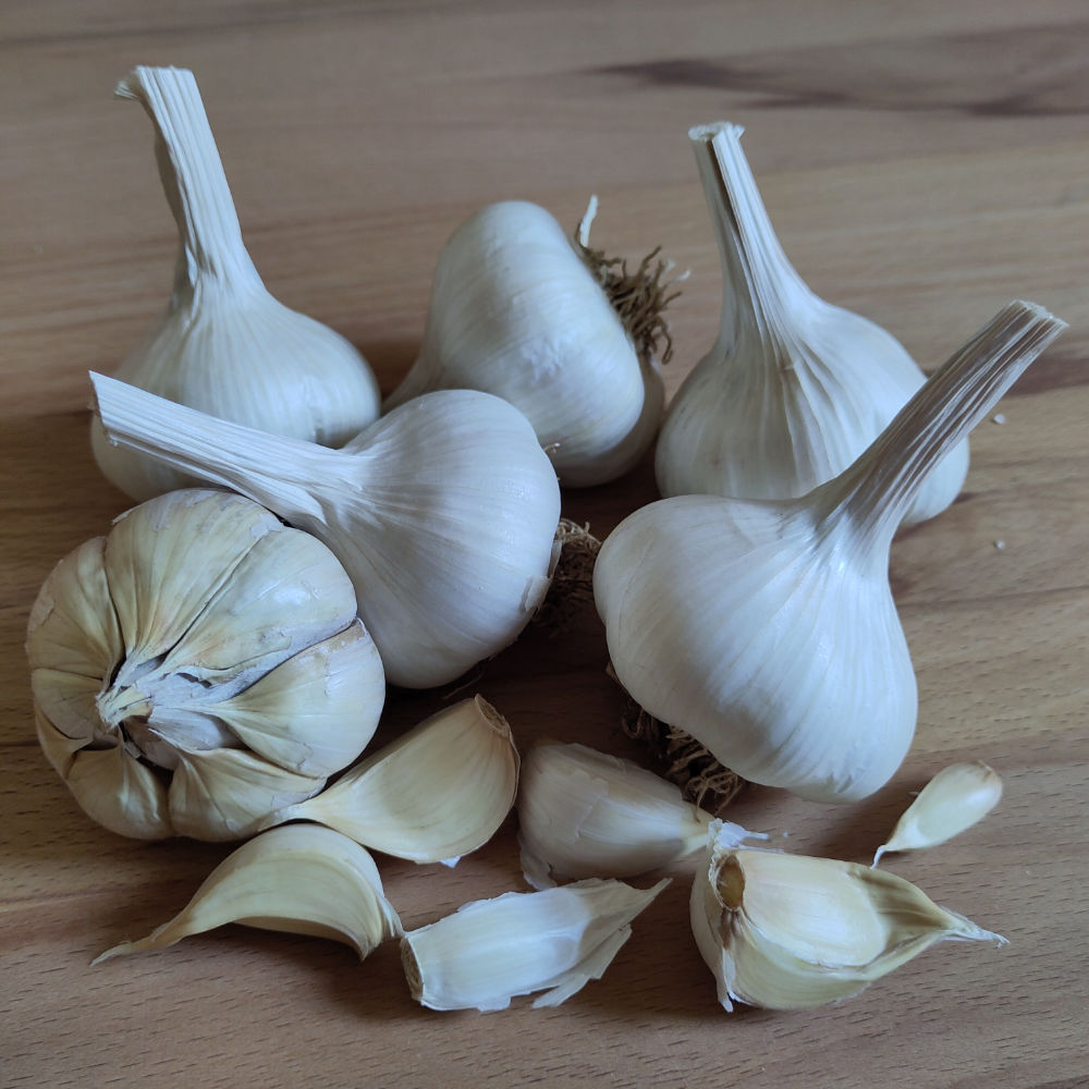 Knoblauch Blonk