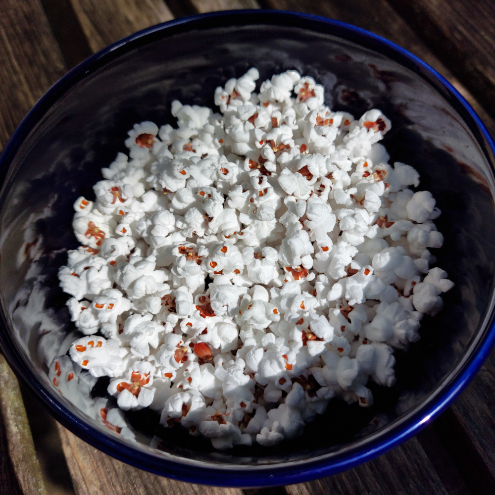 Bunter Popp-Mais Color Pearls