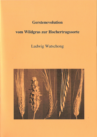 Gerstenevolution: Vom Wildgras zur Hochertragssorte