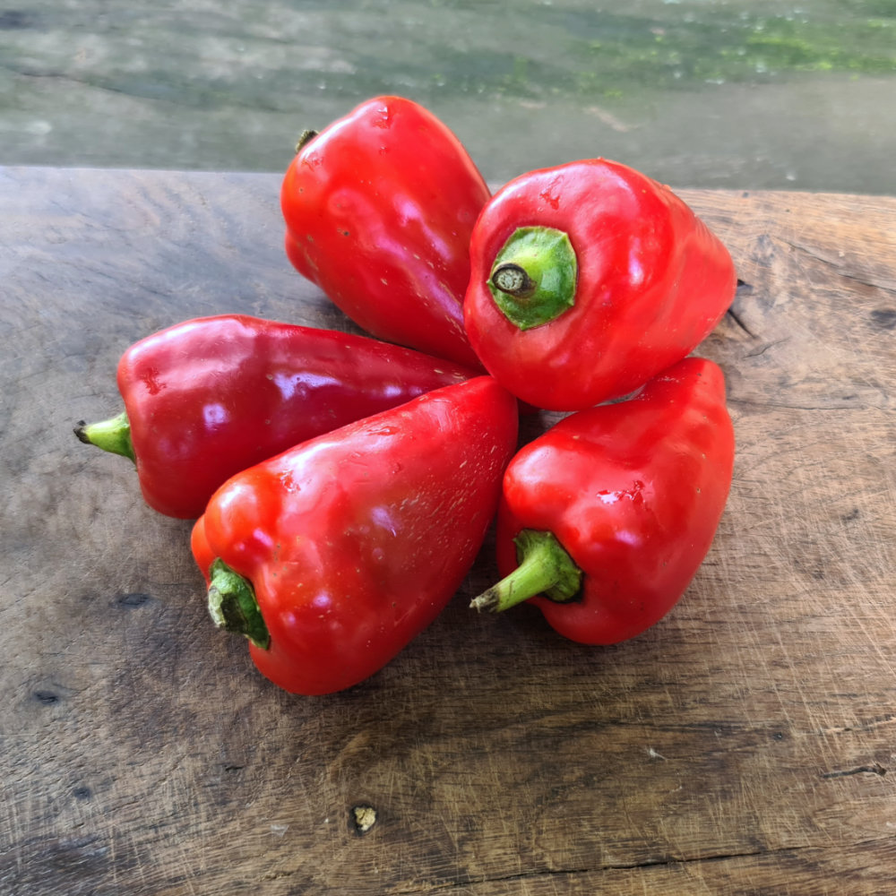 Paprika Langer Süßer