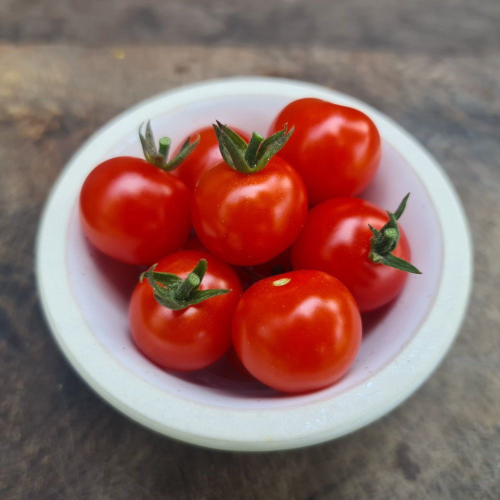 Cocktailtomate Waltingers